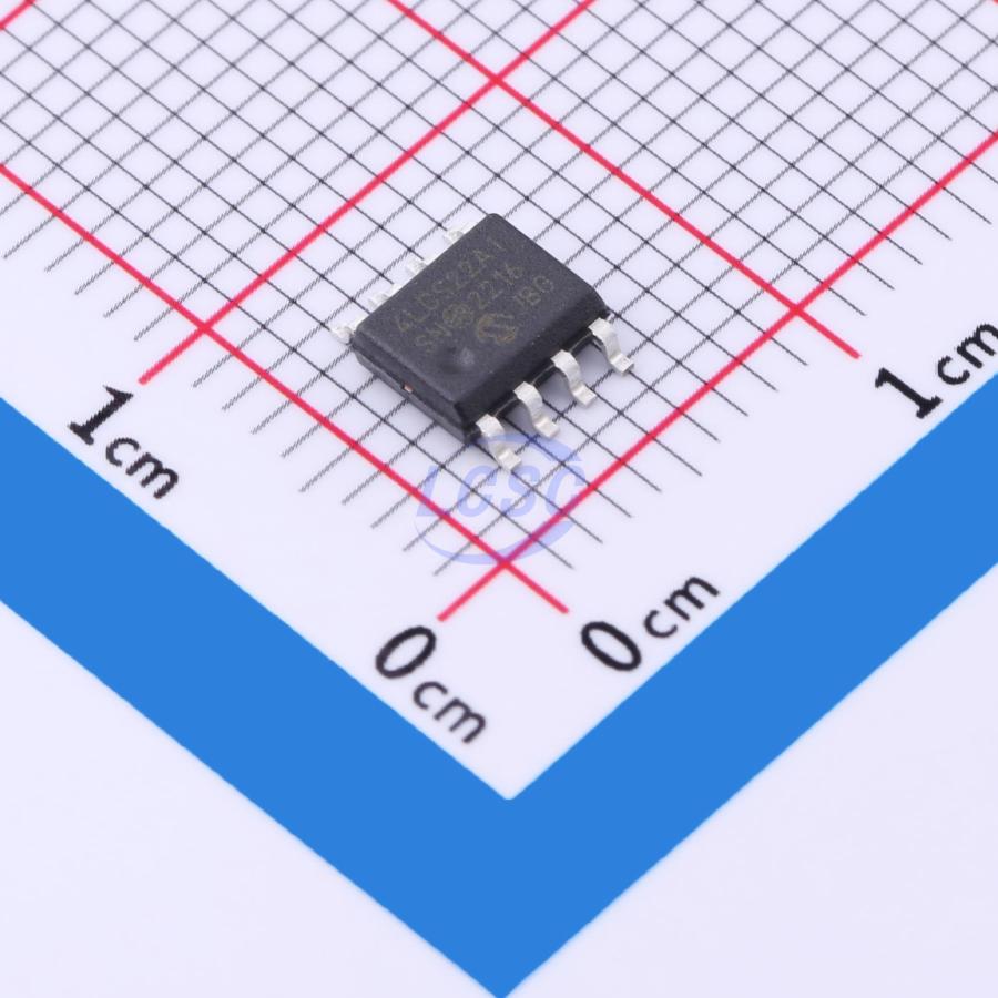 Microchip Technology 24LCS22AT-I/SN