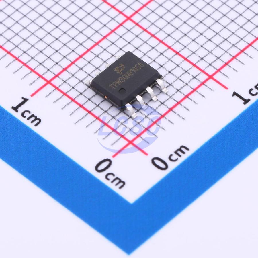 TECH PUBLIC TPM30NB10S8
