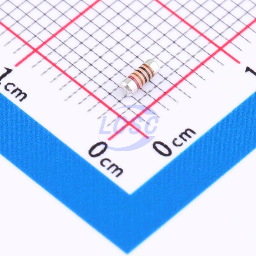 Vishay SMM02040D1001BB300