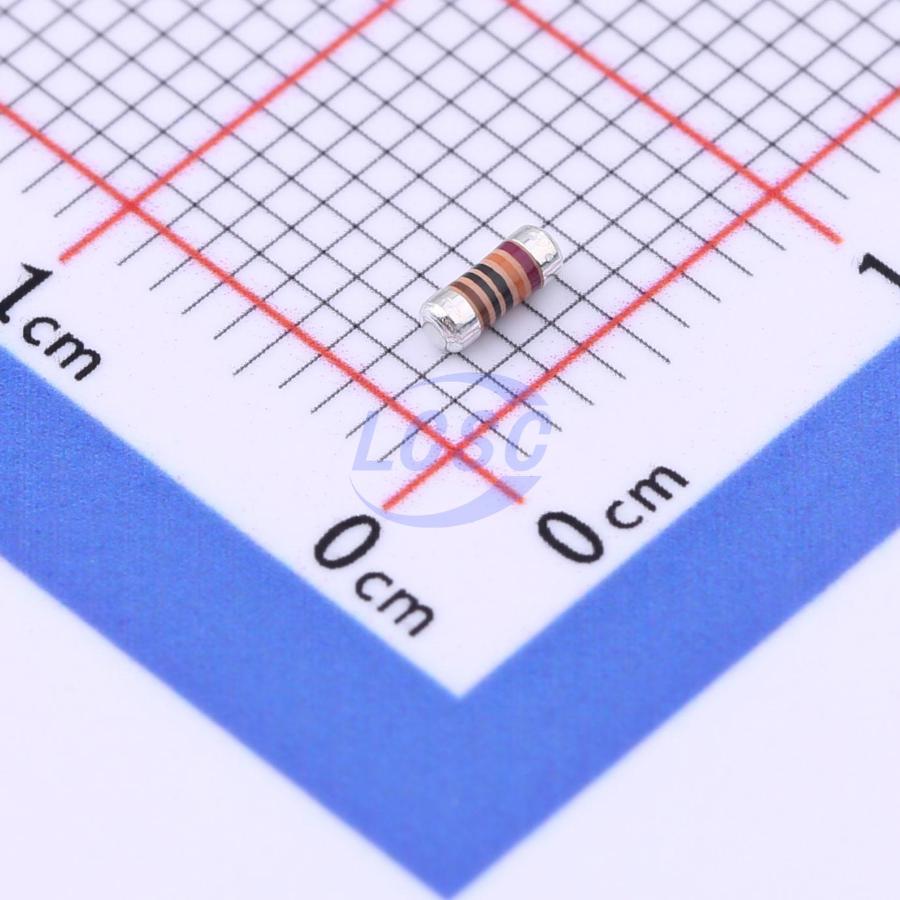 Vishay SMM02040D1003BB300